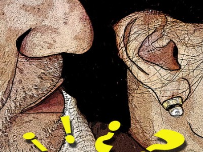 Opinión: LO QUE ME TOCA LOS&nbsp;TONOS