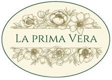 Mi microrrelato «EL NUEVO PERSONAJE», seleccionado en la antología «La prima&nbsp;Vera».